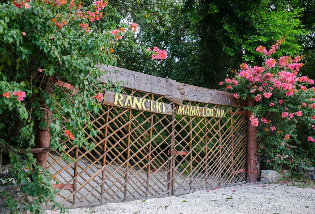 Rotamundos Mama Loomm Ξενοδοχείο Πλάγια Ντελ Κάρμεν Εξωτερικό φωτογραφία